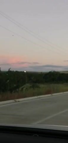 A grainy, low-light video captures a view from a moving vehicle on a paved road. Power lines are visible stretched across the pale, dusky sky. The landscape is a mix of dark green trees and foliage lining the road, with some patches of dry grass. Several streetlights are intermittently spaced along the side of the road, and some of them are illuminated. The road itself is concrete with white lane markings. The overall impression is a view from a highway at dusk or dawn, with the sky showing subtle hues of pink and purple, indicating the fading or emerging light. There are no people or significant actions visible in the video.