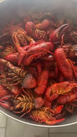 The video shows a close-up, overhead view of a large pot filled with cooked crawfish. The crawfish are bright red and piled high in the pot, with some of their claws and tails visible. The lighting is bright, and the steam from the crawfish creates a slight haze in the background. The camera is mostly stationary, with slight movements that suggest it might be handheld.