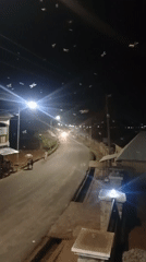 Insect swarm overwhelms streetlights in Nigerian town evening