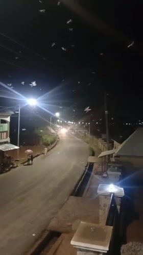 Insect swarm overwhelms streetlights in Nigerian town evening