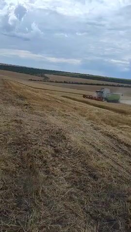 A wide shot captures a combine harvester in a golden wheat field under a partly cloudy sky. The combine, a large white and green machine with a red header, is actively harvesting the crop, kicking up dust as it moves. The field is covered in stubble from the harvested wheat, with rows of cut stalks visible. In the background, the landscape slopes upward, featuring more fields and a line of trees and vegetation on the horizon. The sky is a mix of blue and white clouds, suggesting daytime. The camera appears to be positioned on the ground, looking up towards the combine.