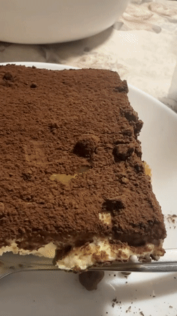Tiramisu dessert documented during afternoon meal in Varna Bulgaria