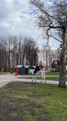 Spring recreational activities observed across multiple Ufa parks and squares