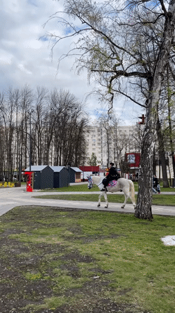 Spring recreational activities observed across multiple Ufa parks and squares