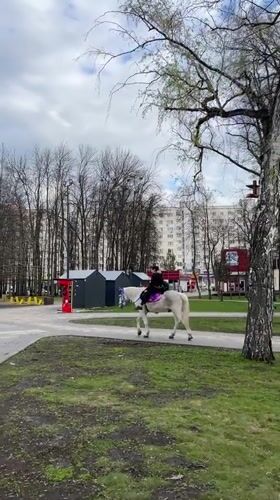 Spring recreational activities observed across multiple Ufa parks and squares