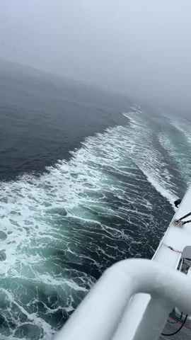 The video shows a view from a boat, looking out at the ocean and the wake left by the boat. The water is dark blue and choppy, with white foam creating a distinct trail behind the vessel. The sky is overcast and foggy, obscuring the horizon. The edge of the boat, including a white railing, is visible in the foreground, suggesting the perspective of someone standing on the deck.