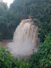 Muddy waterfall flows through lush vegetation in Thika, Kenya