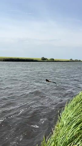 A person is fishing from the bank of a wide, dark river with choppy water. A blue sky with scattered clouds is visible above the river and a distant, flat landscape with green vegetation. A fishing line extends from the left of the frame into the sky. A lure or bait can be seen on the line in the upper right corner of the frame. The action captured is the moment the bait is cast.