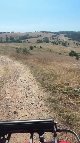 The video shows a view from a vehicle moving along a dirt road through a dry, grassy landscape. The road is made of gravel and dirt. The landscape is hilly with scattered trees and bushes. In the background, there is a dense green forest covering the hills, and in the distance, there are rounded mountains under a clear blue sky with a few wispy clouds. The overall impression is of a rural, natural setting on a sunny day.