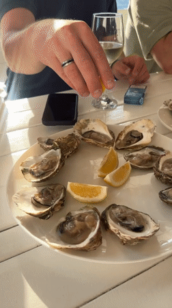 Diners enjoy waterfront lunch at Montenegro's Bay of Kotor
