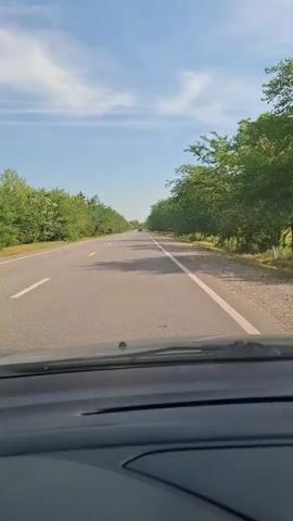 The video shows a point-of-view shot from inside a car driving down a paved road lined with trees on both sides. The sky is blue with scattered white clouds. The sun is shining, casting shadows of the trees onto the road. There is another vehicle visible in the distance on the road.