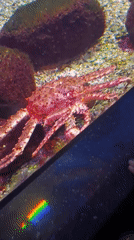 Moscow aquarium visit captures diverse marine life displays