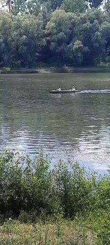 Two people are in a canoe on a body of water. The person in the front of the canoe appears to be paddling, while the person in the back is also paddling. The canoe is moving to the right side of the frame. There is greenery on the left and right sides of the frame, and trees on the far bank of the water in the background. The water appears to be calm with some ripples. The lighting suggests it is daytime, likely sunny.