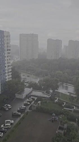 Rainy Khimki afternoon: high-rise views and bumblebees on coneflowers
