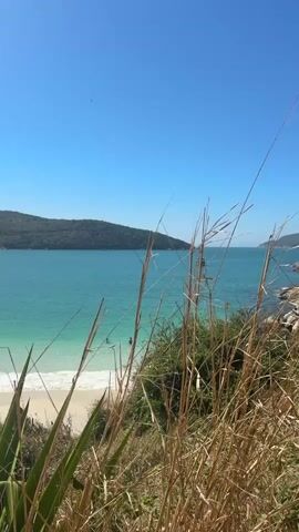 The video shows a bright, sunny day at a beach. The sky is a clear blue. In the foreground, dry, tall grass and green leaves are visible, with some of the blades obscuring the view of the sea. The sea itself is a vibrant turquoise color, with clear water near the shore where small waves gently break on a sandy beach. A few people are visible in the shallow water, seemingly enjoying a swim. Further out in the sea, a medium-sized boat with a few people on deck is moving away from the shore. The boat is white and has a mast. In the background, a lush green, tree-covered hill slopes down to the water. The overall scene depicts a serene and inviting coastal environment.