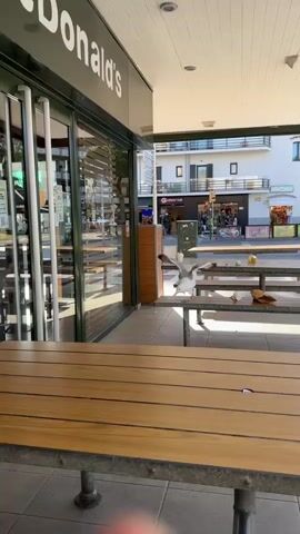 A seagull stands on a picnic table outside a McDonald's restaurant. The seagull is facing left and is partially blocking the view of the street behind it. The table is made of wood and metal. There are a few paper cups and a piece of bread on the table. The McDonald's restaurant is visible on the left side of the frame, with its sign clearly displayed. In the background, there is a street with buildings and traffic. The weather appears to be sunny.