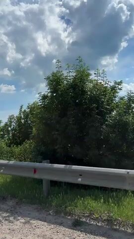 A forward-moving camera captures a view from a vehicle driving on an asphalt road alongside a grey metal guardrail. On the left, two stacked road signs are visible: an upper circular sign with a red border depicting a red car overtaking a black car (indicating no passing), and a lower circular sign with a red border showing the number "40" (indicating a 40 km/h speed limit). As the camera continues forward, a white SUV turns a corner to the right, past a red and white chevron sign pointing left. Further down the road, a blue circular sign with a white upward arrow is visible. Several other vehicles, including a white off-road vehicle and other passenger cars, are parked or driving along the road. The background consists of green trees and bushes under a clear blue sky with fluffy white clouds.