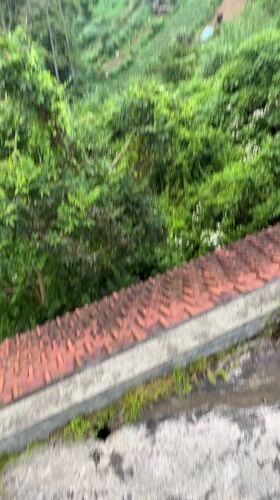 Urban explorer documents abandoned building complex in Mekarsari, Indonesia