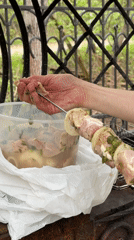 Spring barbecue and wildlife watching at Korolyov estate