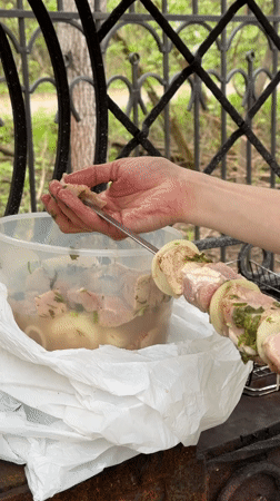 Spring barbecue and wildlife watching at Korolyov estate