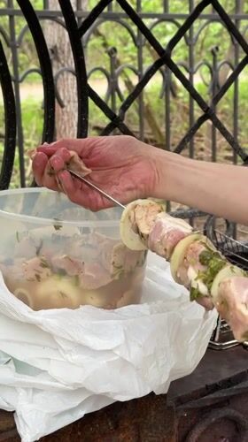 Spring barbecue and wildlife watching at Korolyov estate