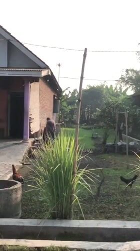 Morning routines and rural activity across two East Java villages