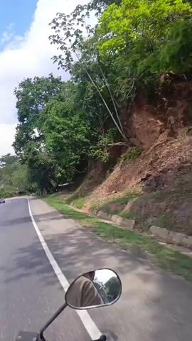 The video, shot from the perspective of a motorcycle rider, captures a sunny day on a paved road lined with lush green trees. The sky is bright blue, dotted with puffy white clouds. A dirt embankment covered in vegetation rises on the right side of the road. Occasional buildings, likely houses or small structures, peek through the trees. The rider's jacket is visible in the motorcycle's side mirror. The video seems to be taken during motion as the scenery is constantly changing.
