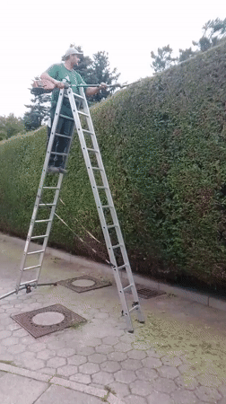 Hedge trimming work underway at a Wedel residential property