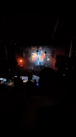 Concert crowd in dark Sofia venue