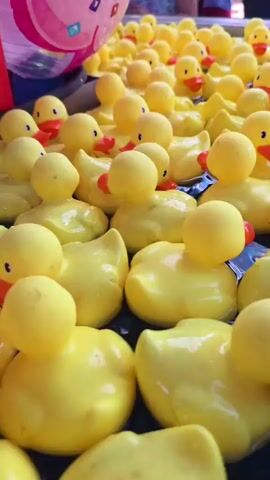 A close-up, high-angle shot showcases a large group of yellow rubber ducks floating in dark water. The ducks are primarily yellow with orange beaks and black eyes. Some ducks have their heads tilted, while others are positioned to face the camera. The water appears slightly disturbed, with ripples visible around the ducks. In the background, out of focus, a portion of a colorful inflatable object, possibly a balloon, is visible. The overall impression is a densely packed collection of identical toys.
