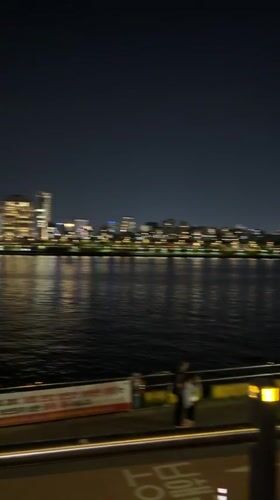 Illuminated riverside walkway observed at night in Seoul