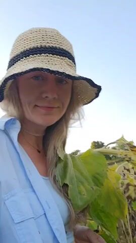 A woman wearing a straw hat and a blue shirt is in a field of sunflowers. The woman is looking at the camera and smiling. The sunflowers are tall and yellow, and some of them are drooping. The sky is blue and clear.