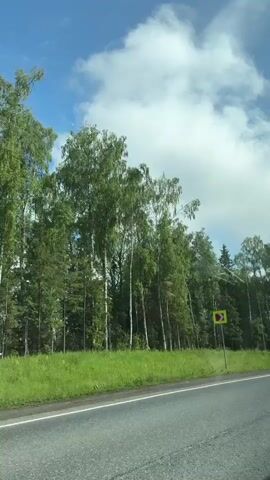 A video taken from a moving vehicle shows a road bordered by a grassy embankment and a dense forest. A yellow traffic sign with a red arrow indicating a curve to the right is visible by the side of the road. The sky is blue with scattered white clouds. The overall impression is one of a scenic drive through a wooded area.