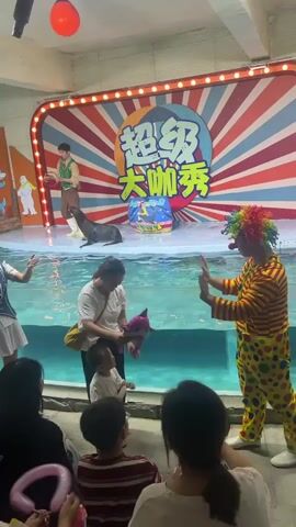 A seal show is taking place in a room with a pool of water on the stage. In the foreground, an audience is seated, and to the right, a clown with a colorful wig and striped costume is interacting with a child and an adult who is holding a pink toy. A woman on the left is also interacting with a child. On the stage, a woman in a white shirt and dark pants is near the pool, holding a pink toy. A performer in a green vest and brown pants stands on the platform behind the pool, next to a seal. Another performer, a young woman in a blue vest and white skirt, is on the platform holding a microphone. A backdrop with radiating lines and Chinese characters, which translate to "Super Star Show," is visible behind the performers. A red balloon is hanging from the ceiling. The lighting is bright, with some spotlights.