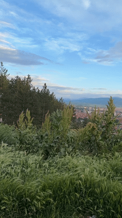 Witness documents Pirot cityscape and residential details over 28 minutes