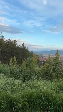 The video shows an elevated view of a town from a grassy hillside. In the foreground are tall green grasses and plants, with a line of trees on the left side. Beyond the greenery, the town stretches out, with buildings close together and a mix of colors visible. In the distance are mountains against a blue sky with some scattered clouds. The camera pans slowly to the right, revealing a house with a red roof. The video appears to be taken during the daytime, possibly late afternoon, as the sky has a soft, diffused light. Someone is humming in the background.