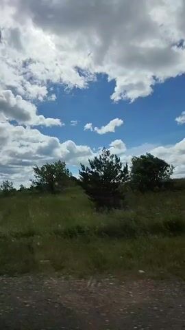 The video is a first-person perspective recording of a landscape passing by. The camera appears to be mounted on a vehicle moving along a gravel road. The scene is dominated by a bright blue sky with scattered white cumulus clouds. Below the sky is a green, grassy field with some sparse trees and bushes. The field has a slightly undulating terrain. In the distance, there are power lines and poles visible, as well as some road signs. The overall impression is that of a rural or semi-rural environment on a sunny day. The footage is shaky, indicating movement. There are no people or animals visible in the frame.