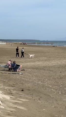 The video shows a beach scene on a sunny day. In the foreground, a small group of people are sitting in beach chairs. In the mid-ground, a woman walks a light-colored dog on a leash, accompanied by a man walking beside her. Other people are scattered along the beach in the background, near the water's edge. A rock barrier stretches into the sea. The sky is blue with some cloud cover. The sand is a light brown color.