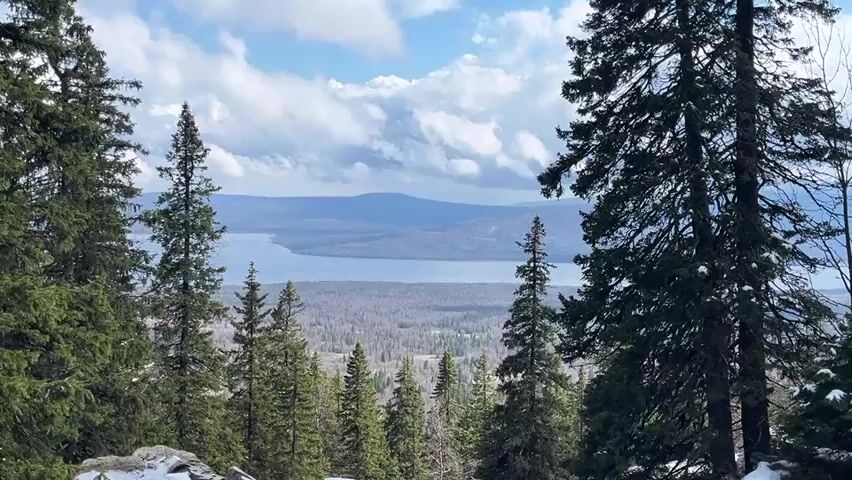 The video presents a scenic view from a mountain, looking out towards a large body of water that appears to be a lake. The landscape is dominated by tall evergreen trees, framing the vista with their dark green foliage. The trees occupy the foreground, providing a sense of depth to the scene. The lake is surrounded by a vast expanse of forest, which fades into a lighter grey-brown color. In the distance, mountains can be seen, their outlines softened by the atmospheric haze. The sky above is a blend of blue and white, with fluffy clouds adding texture and dimension. There are patches of snow visible near the camera. The scene is quiet and serene. It appears to be shot on a clear day with good visibility.