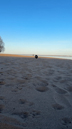 Everyday moments captured around Noviy, Russia beaches and roads