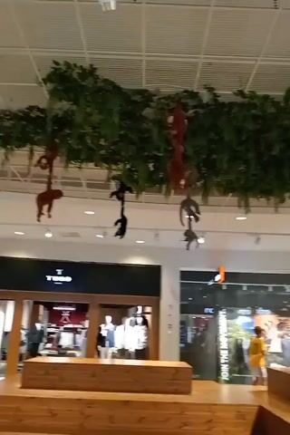 The video pans across a brightly lit indoor shopping mall. In the foreground, there are wooden benches and planters with green foliage. Suspended from the ceiling are artificial green vines and several hanging monkey figures. The mall features various storefronts with illuminated signs. One store has a red sign that reads "emotion" and a large orange sign advertising a sale. Other stores display merchandise and advertisements. Several people are visible walking through the mall and sitting on benches. The flooring appears to be tiled, and the ceiling has a grid-like structure with fluorescent lighting. The overall atmosphere suggests a modern and spacious commercial environment.
