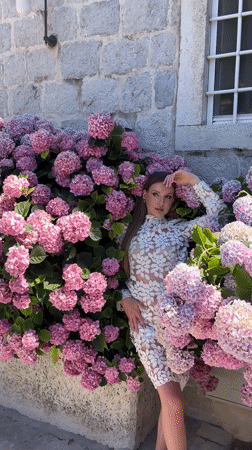 Photo shoot among hydrangeas on Perast stone steps