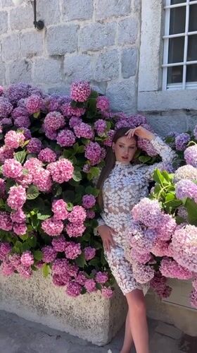 Photo shoot among hydrangeas on Perast stone steps