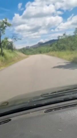 The video shows a first-person perspective from inside a vehicle. The camera is pointed forward, capturing the view through the windshield. A paved road stretches ahead, curving gently to the left. The road is bordered by green vegetation, including trees and tall grass, on both sides. In the distance, hills covered with trees are visible under a bright blue sky with scattered white clouds. The dashboard of the vehicle is partially visible at the bottom of the frame. There are no people or other vehicles visible in the scene. The overall impression is of a scenic drive through a rural or natural landscape on a sunny day.