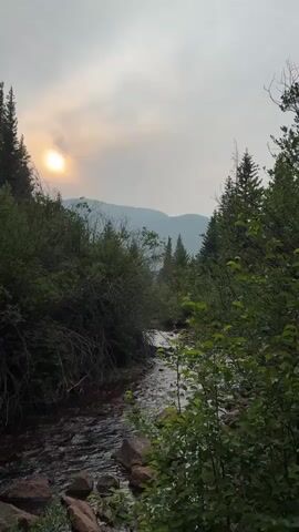 This media file features a scenic natural landscape. The main subject is a winding river flowing through a dense forest. The riverbanks are lined with lush green trees and bushes, with some large rocks visible in the foreground. In the background, hazy mountains can be seen under a cloudy sky.

The time of day appears to be late afternoon or early evening, as the sun is low in the sky and partially obscured by clouds and possibly smoke, casting a soft, diffused light. The weather seems to be hazy or smoky, which contributes to the muted colors and soft focus of the distant mountains.

There are no people or specific objects clearly visible in the scene, emphasizing the untouched, natural environment. The overall mood is serene and tranquil, evoking a sense of peace and solitude. The location cues, such as the type of trees and mountainous terrain, suggest a mountainous or wilderness area. The mention of "Saint Elmo, United States" further grounds the scene in a specific geographical context. The image is a still shot and does not depict any particular activity or event, other than the natural flow of the river. There is no visible text in the media file.