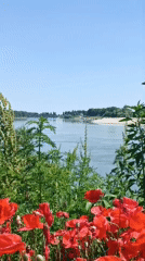 Peaceful river afternoon documented in Viadana, Italy