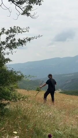 A person wearing a black t-shirt, black pants, a black baseball cap, and black shoes is in a field of tall, dry grass with small white flowers. The person is holding two thin sticks. The person is moving from right to left, bending down and picking up the sticks. In the background, there are rolling hills and mountains under a cloudy sky. A tree branch with green leaves is visible in the upper left corner.