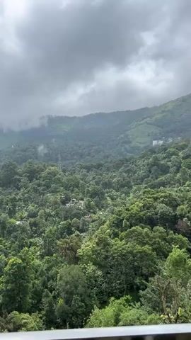 A high-angle, outdoor shot pans across a vast valley of dense green trees under a cloudy sky. The camera starts by showing the left side of the valley, then slowly moves to the right. Hills covered in trees are visible in the background, with some buildings scattered among them. The video ends showing the right side of the valley with the trees and cloudy sky.