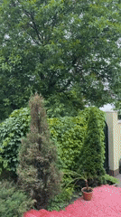 Morning residential life documented in Dnipro courtyard complex