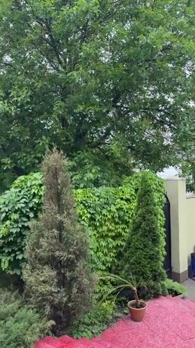 Morning residential life documented in Dnipro courtyard complex